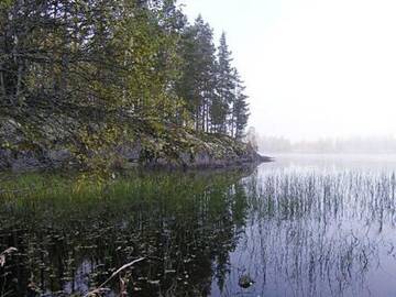 Фото Дома для отпуска Holiday Home Niittylahti г. Koro 4